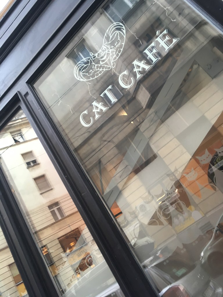 Outside the Cat Cafe