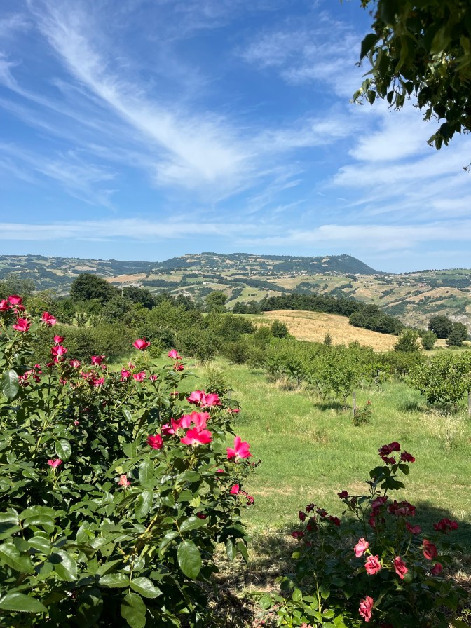 Introduction to WWOOFing: My Experience in Italy