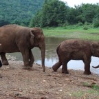 Chiang Mai: Excerpts From My Thailand Journal