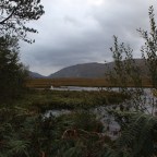 A Weekend on the Wild Atlantic Way: Sligo, Leitrim, and Donegal (and Fermanagh)
